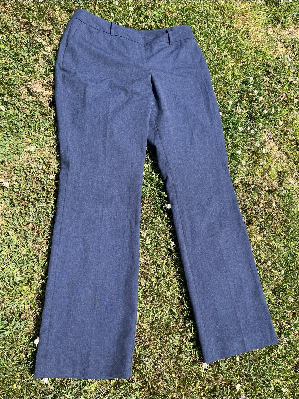 Ann Taylor Factory Navy Trousers